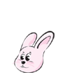 캰Ǯ